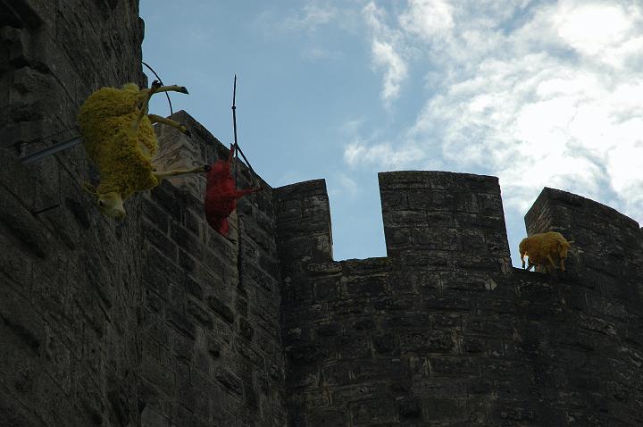 Aigues_mortes (11)